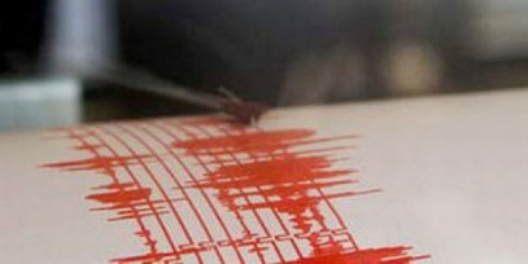 Ministrul Costoiu: seismele de la Galaţi au cauze naturale